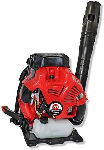 Petrol Leaf Blowers